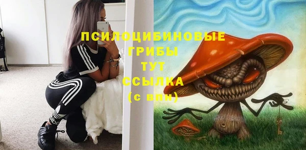 мет Аркадак