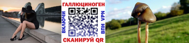 даркнет сайт Орлов Галлюциногенные грибы мухоморы